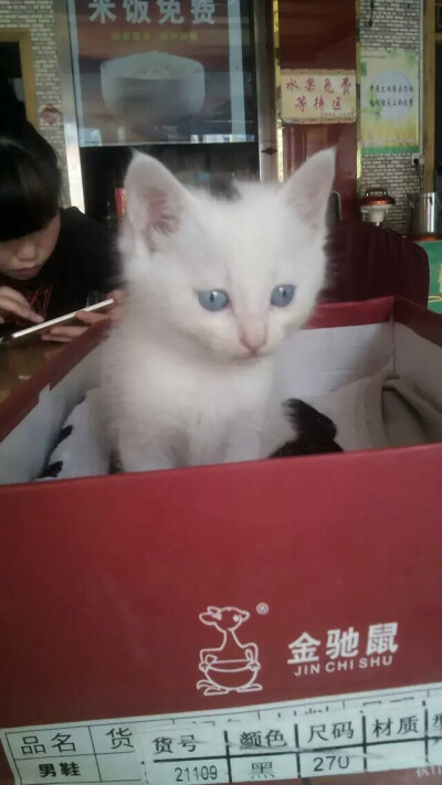 look，那是什麽？(≧▽≦)