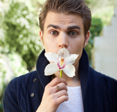 Paul Wesley (保罗·韦斯利)