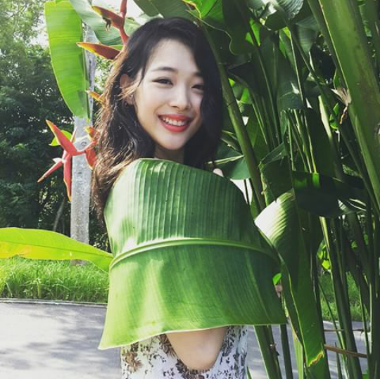 我想变成芭蕉叶