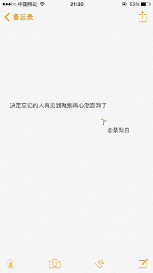备忘录文字。决定忘记的人再见到就别再心潮澎湃了