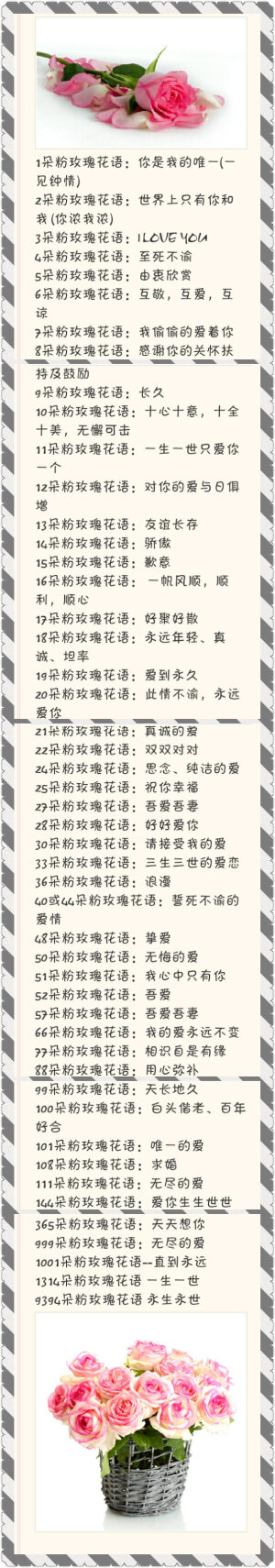 「玫瑰」『粉红玫瑰』—粉红玫瑰花语大全