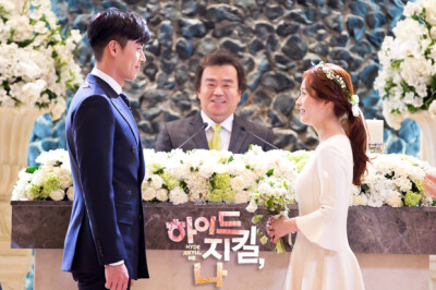 海德哲基尔与我~