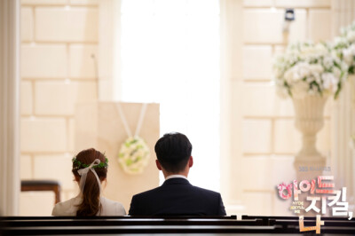 海德哲基尔与我~