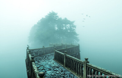 宁静的海