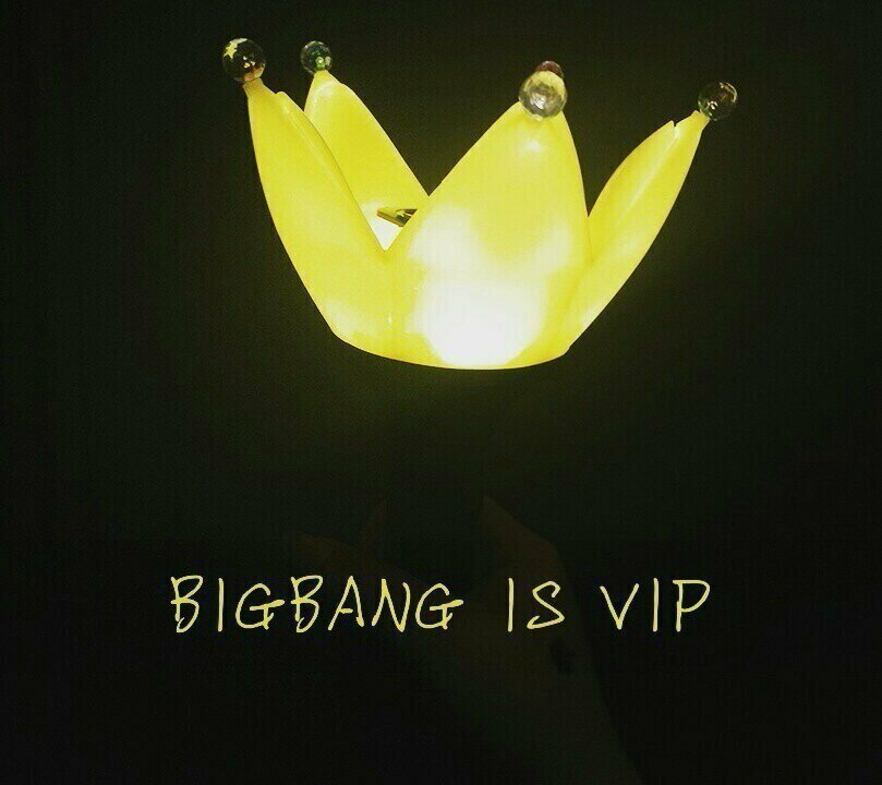 BIGBANG IS VIP ❤(ӦｖӦ｡)