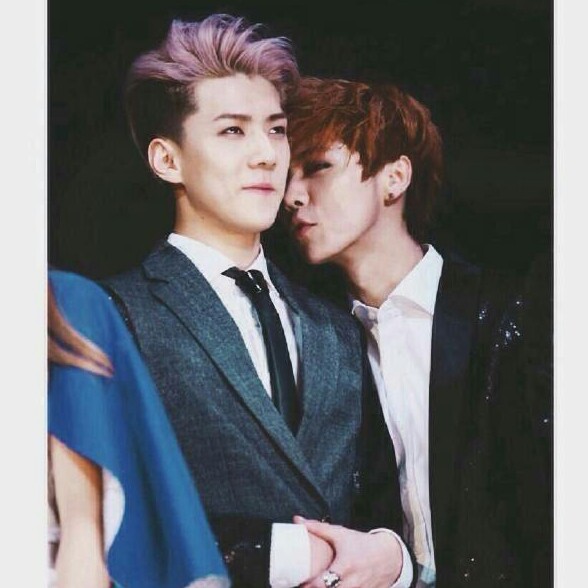 勋鹿hunhan