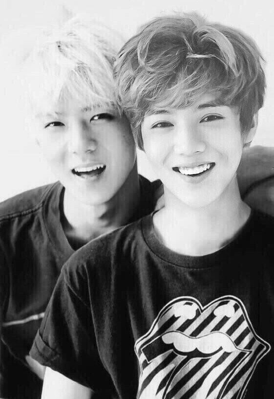 勋鹿hunhan