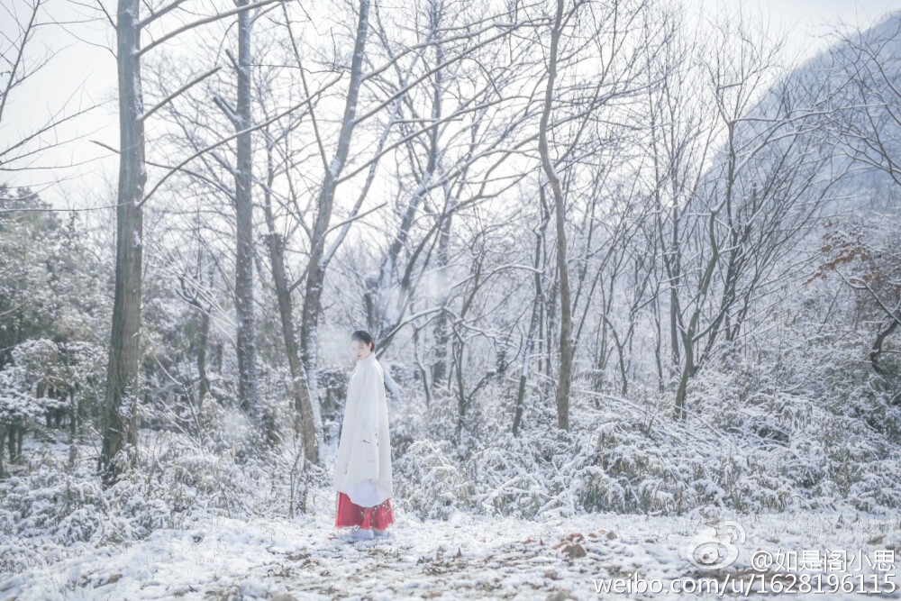 残叶枯，粹雪融，玉树环银镯，歌舞诧冷风，香兰草，冷雪泪，蓝转婀娜，月照萧头。离人易思人难。只把千古惆怅，化作白雪纷飞下。恶漫挫道，白芒过，何处飞雪，何处生愁。摄影@_摩西君_ ，出境@如是阁小思 ，同行@南街壶娘