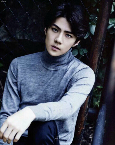 SEHUN 