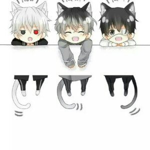 金木研  东京喰种