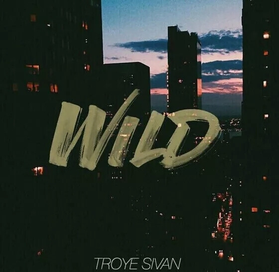 troye sivan-wild 