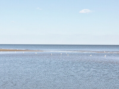 黄金海岸