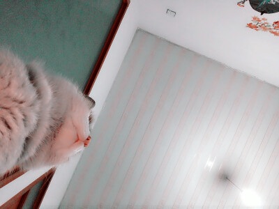 喵