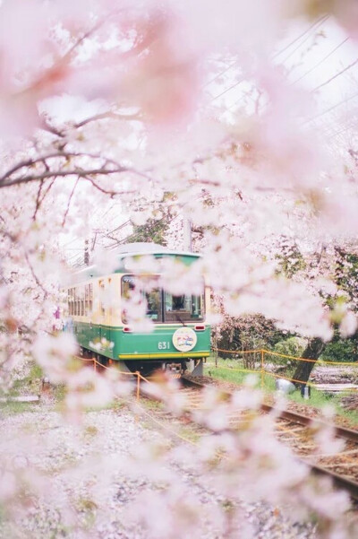 此情此景.繁花