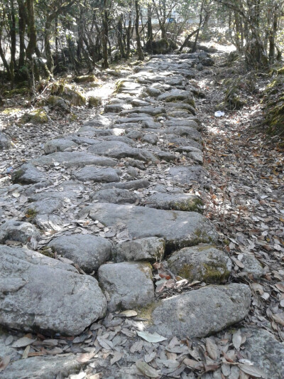 铺着青石的小路，阳光点点…（去往灵山寺的路上）