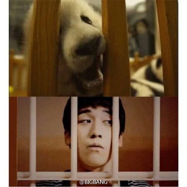 #seungri#