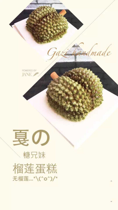 戛籽生活烘制——创意作品！