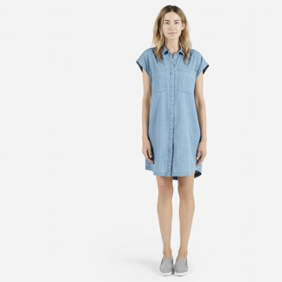 The Short-Sleeve Shirt Dress - Everlane