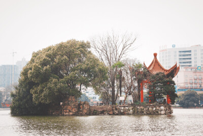 芜湖是一座小小的城市
但它给人感觉舒服
没有大城市带来的压迫感
虽然为了我小小的梦想
并不能时时呆在这里
但这里真的是我最温暖的港湾
有着爱我的家人
有着温婉的小风景