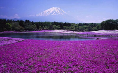 日本，北海道