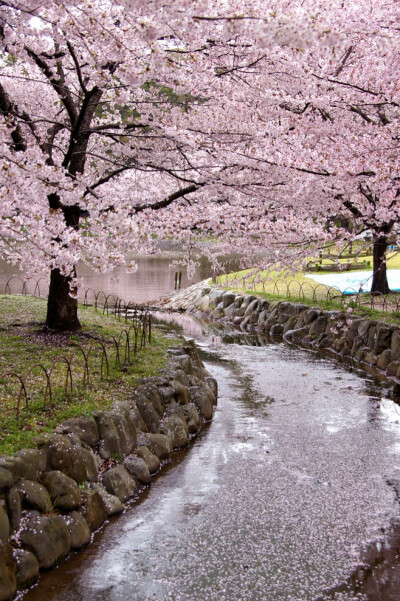 此情此景.繁花