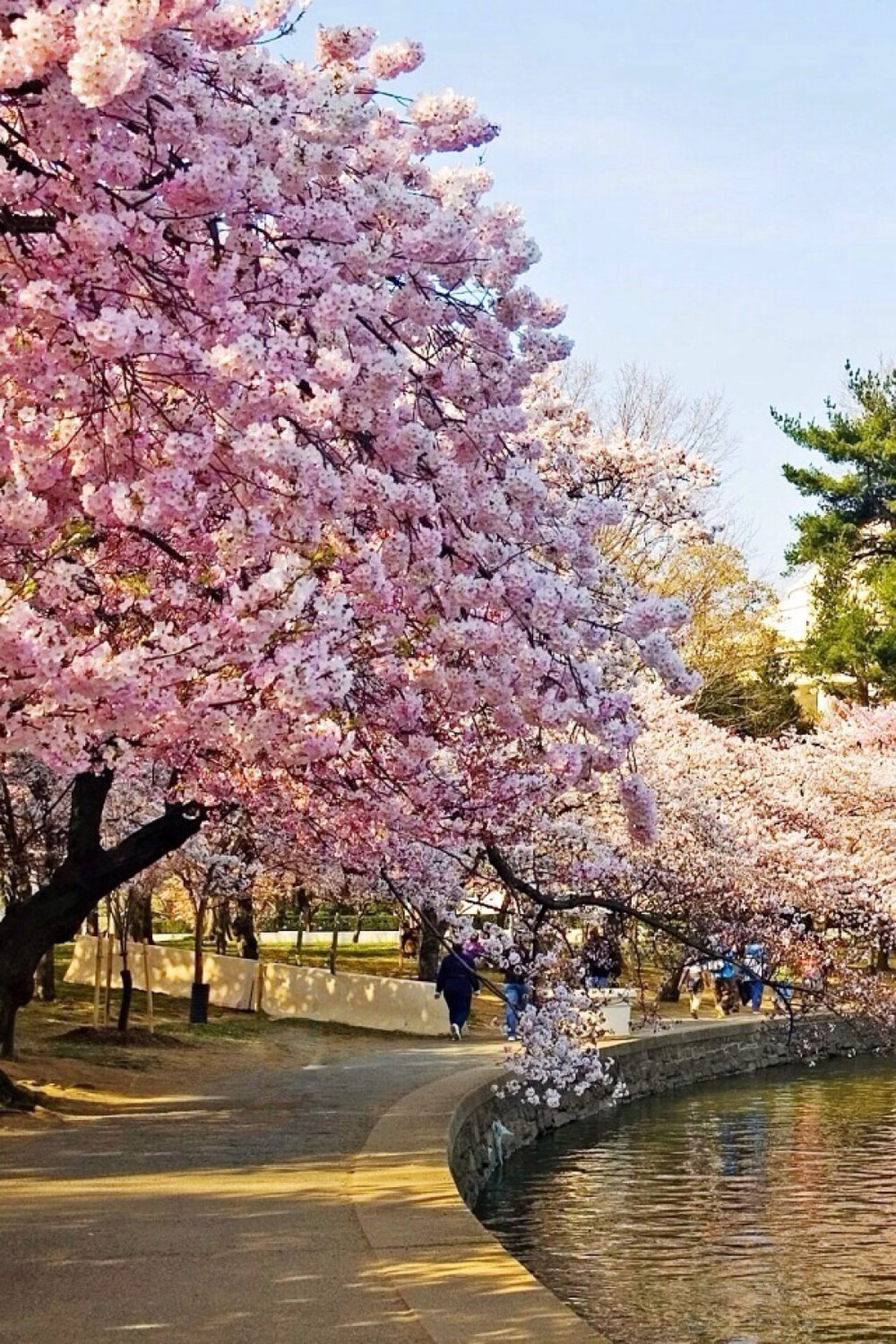 此情此景.繁花