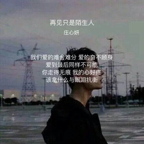 再见只是陌生人