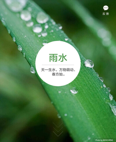 淘宝色彩购——雨水