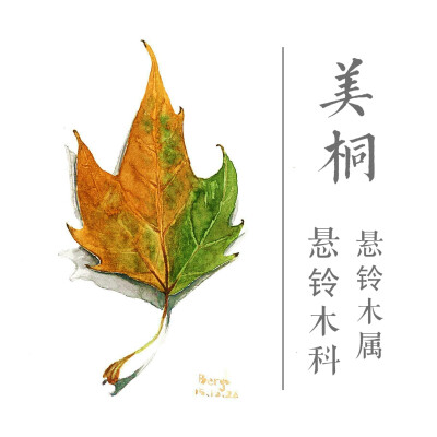 这套插画叫“群林谢幕”