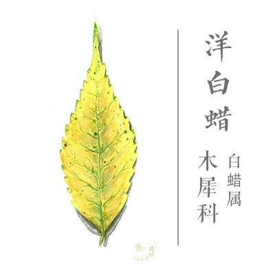 这套插画叫“群林谢幕”