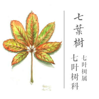 这套插画叫“群林谢幕”