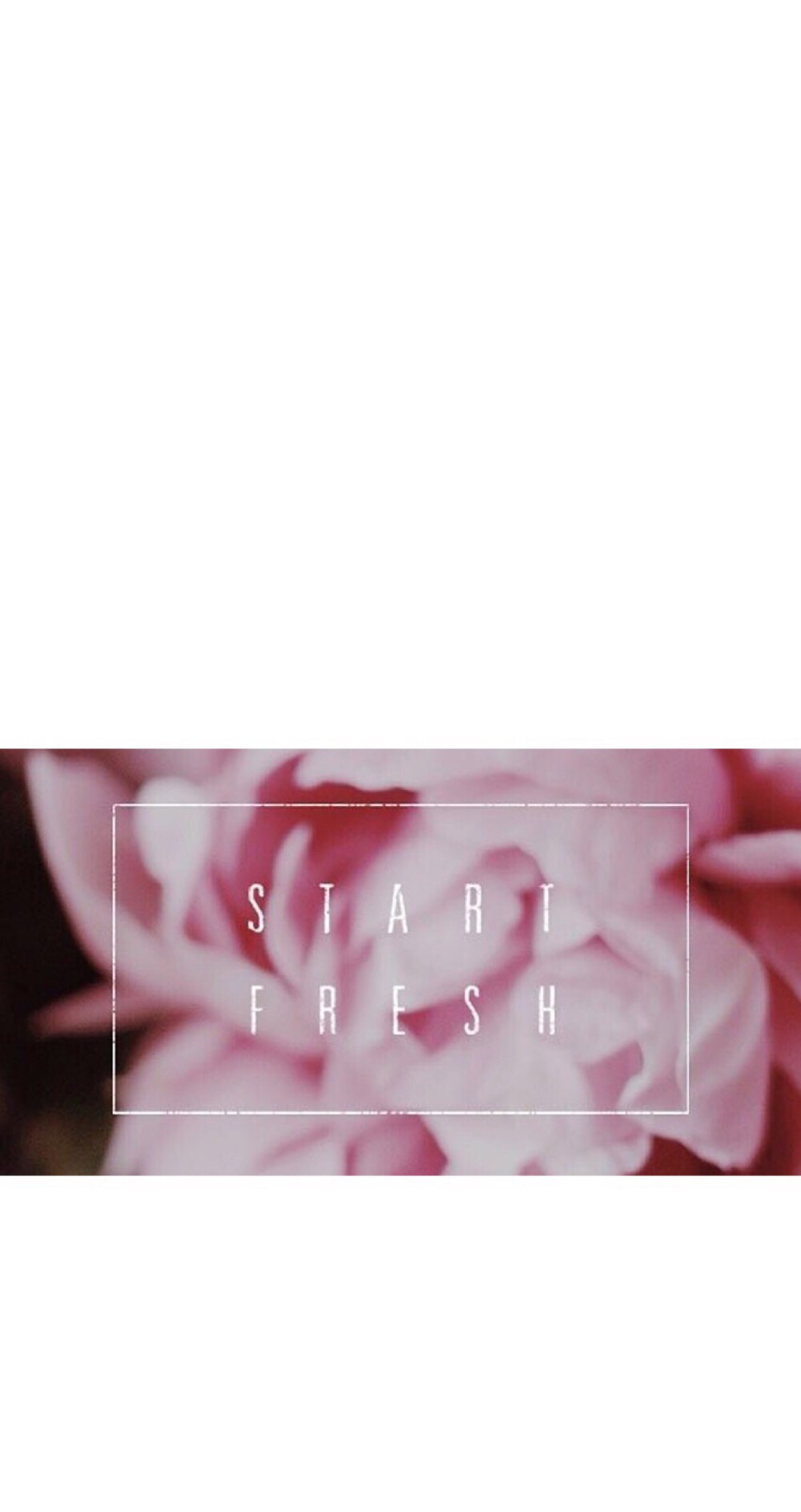 Start Fresh