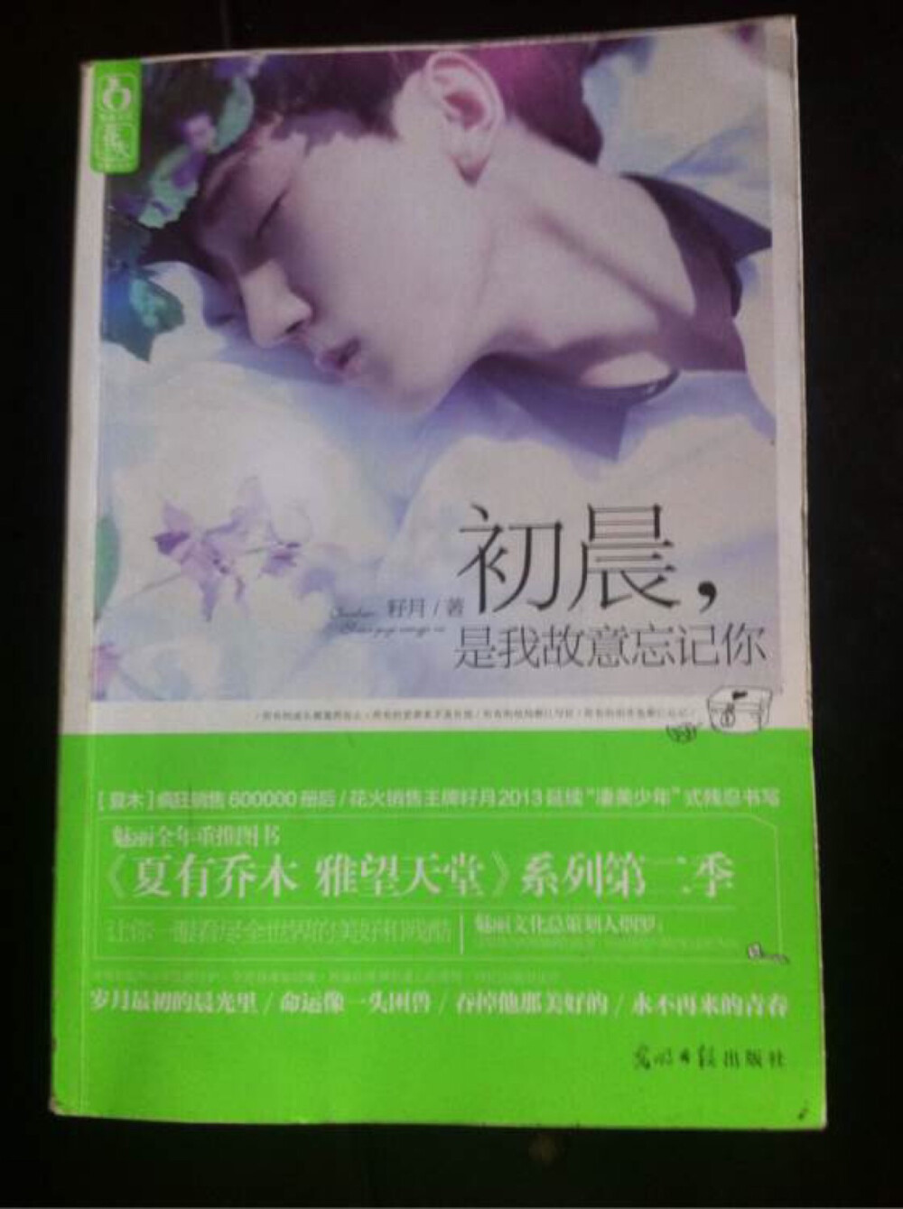 少年李洛书出生没多久，父母双双离世。
他被奶奶赶出家门，只能借住在舅舅家，沉默的当一个可有可无的影子。
本以为人生会一直灰暗，却在最孤寂的日子里，遇到了最灿烂的黎家姐弟。
从此心里装进了一个人，再也拿不开，抛不掉，扔不走......
当她失去最爱的弟弟时，他愿意放弃姓名，永远当她的弟弟。
本想就此默默守护一生她被挚爱惨痛背叛，他拿出自己所有的爱与温暖......
当她被围困在死亡时，他情愿替她躺在血泊之中。
可是，他却早已失去爱她的资格。