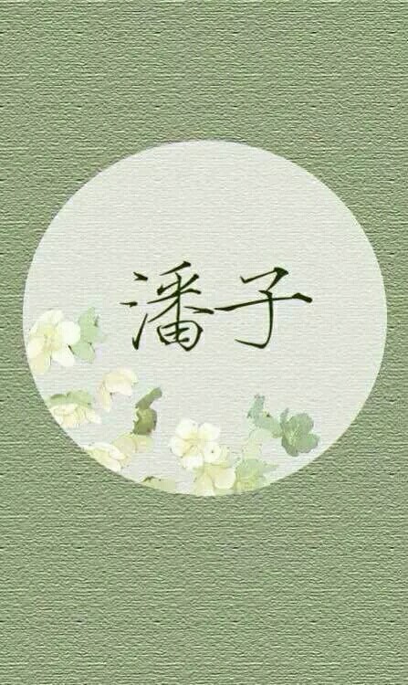 盗墓笔记。潘子。