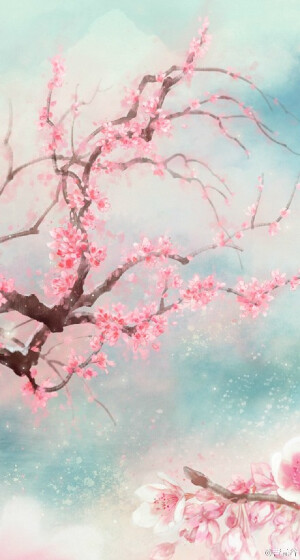 桃花
