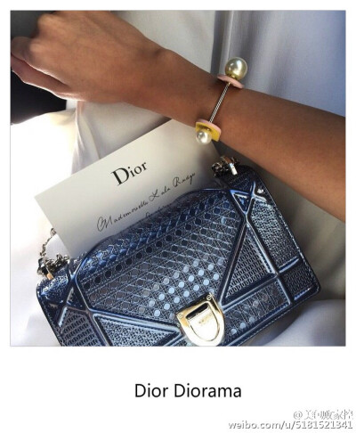 dior diorama