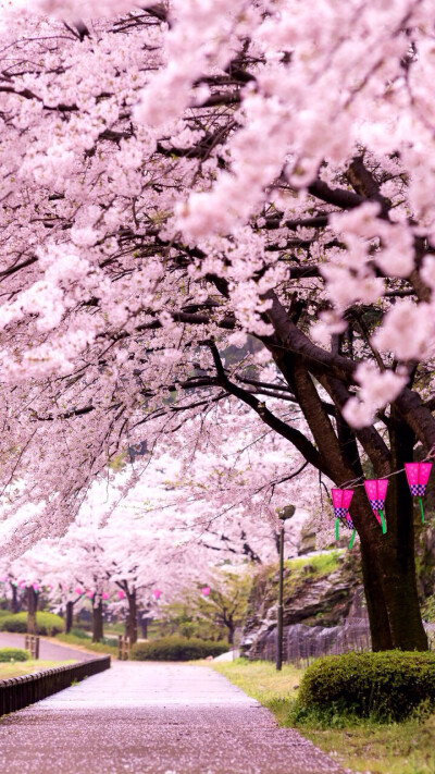 此情此景.繁花