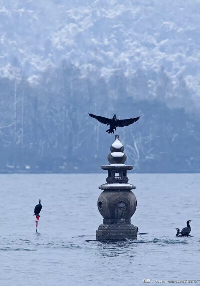 西湖 雪景