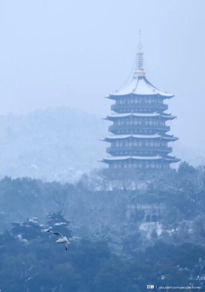 西湖 雪景