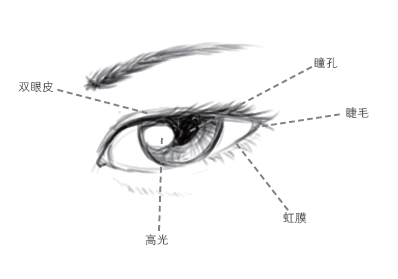 手绘 眼睛教程