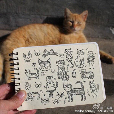 手帐猫咪