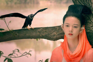 青丘狐传说 花月