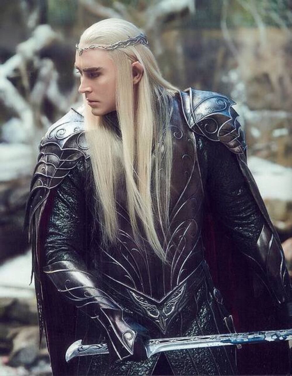 The lord of the Rings Thranduil Legolas Lee Pace Orlando Bloom