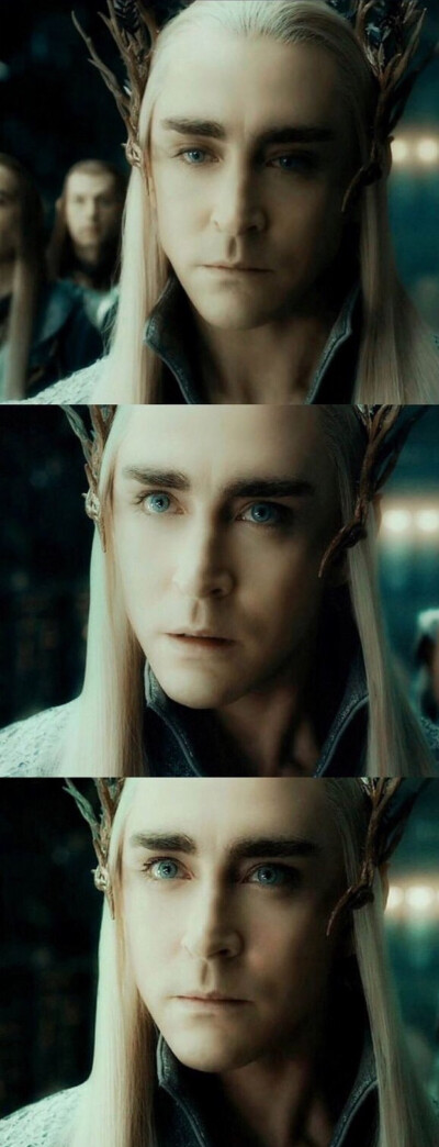 The lord of the Rings Thranduil Legolas Lee Pace Orlando Bloom