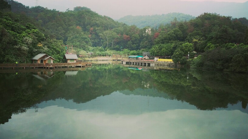 想和你一起走過山山水水