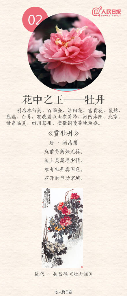 放肆当学霸(中国十大名花)