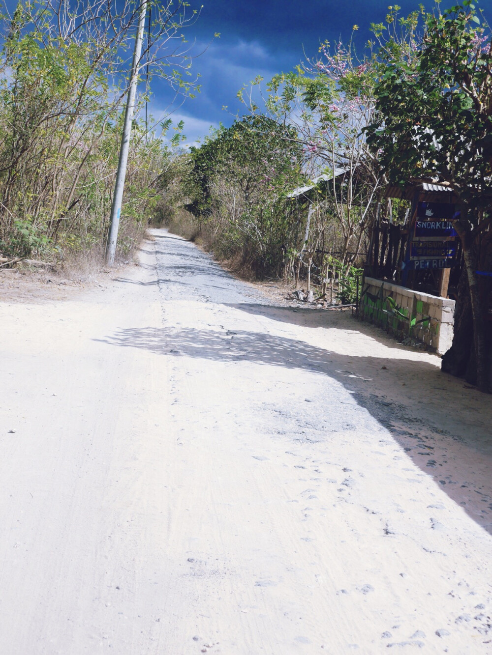 海边小路