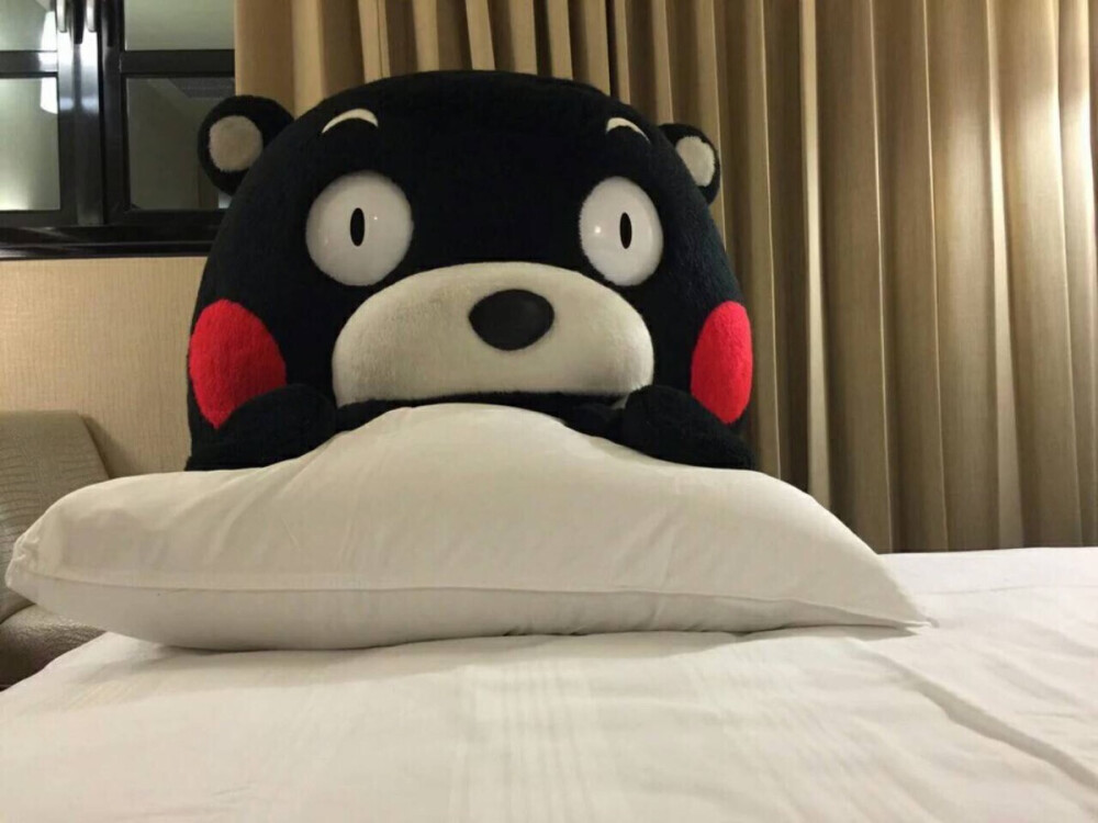 #kumamon#吃完巧克力记得刷牙mon！（ˉ﹃ˉ）