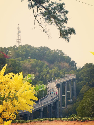 金鸡山栈道