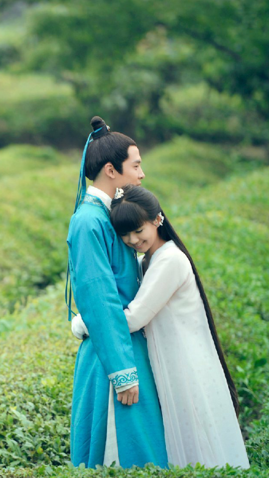 青丘狐传说婴宁小彩旗王子服付辛博